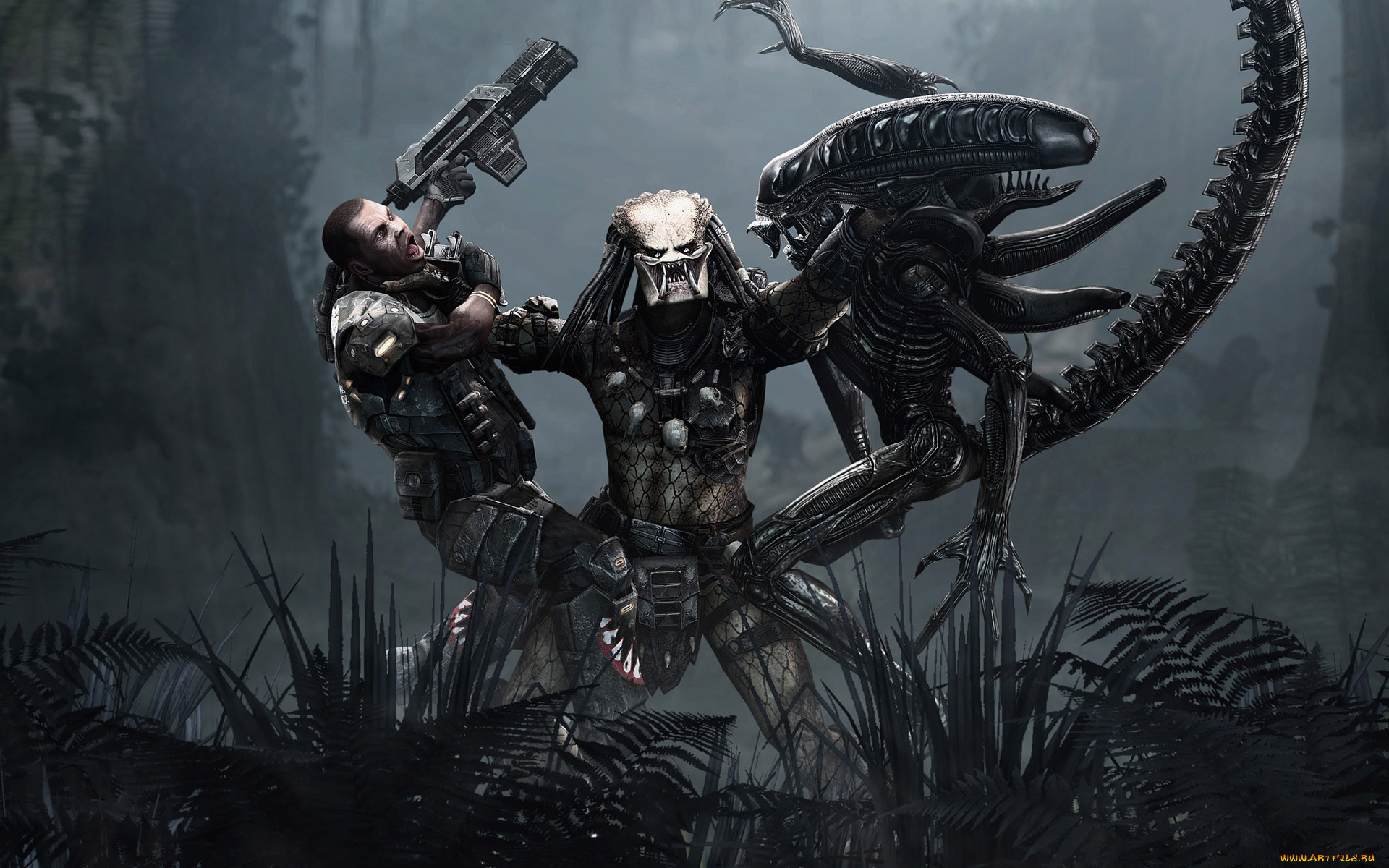 aliens, vs, predator, , 